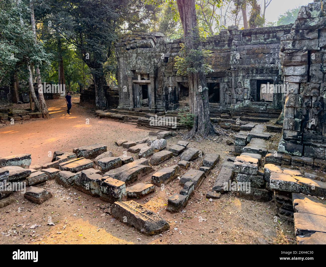 Ta Prohm Temple, a Mahayana Buddhist monastary built in the late 12th century for Khmer king Jayavarman VII, Cambodia. Stock Photo