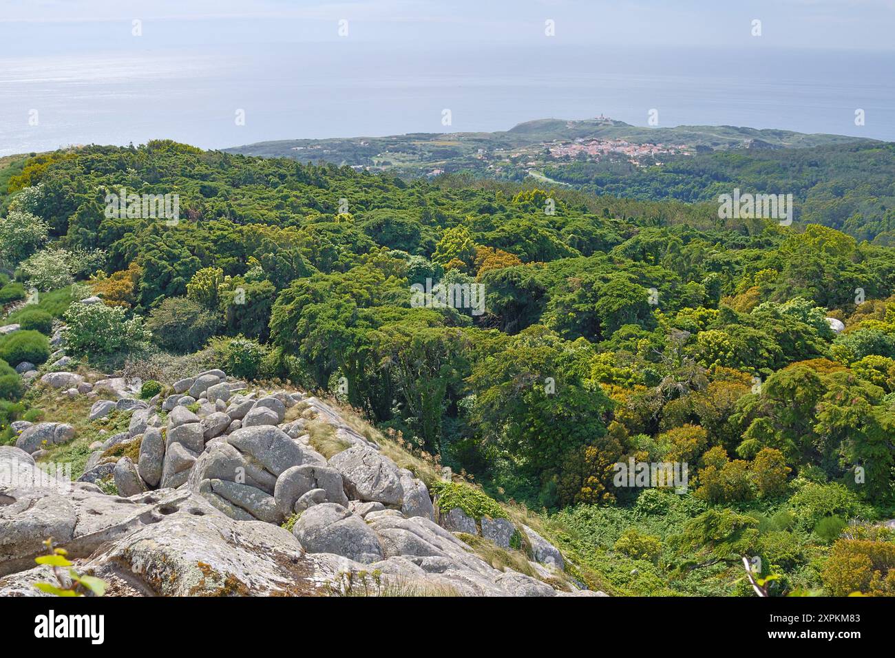 Lush greenery cloaks the sintra mountainside, with a view stretching to the ocean Stock Photo