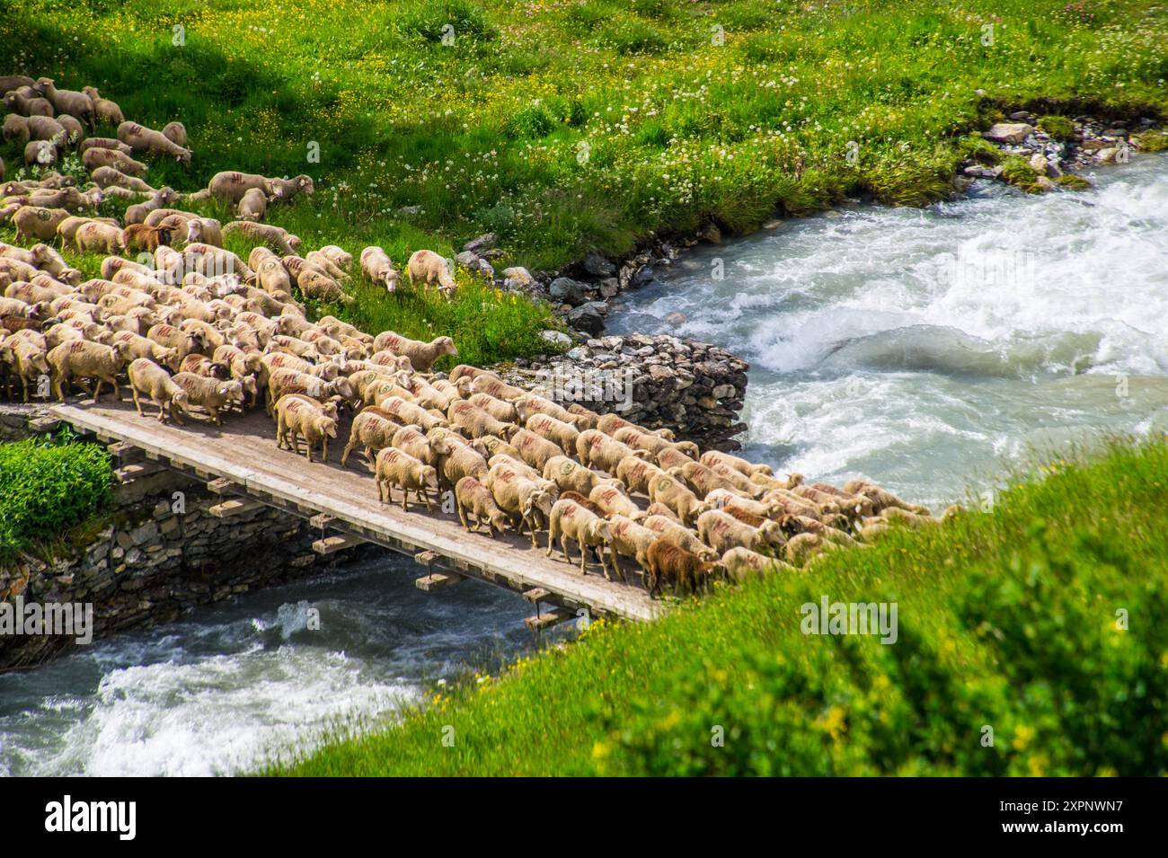 maljasset in Alpes-de-Haute-Provence in france Stock Photo