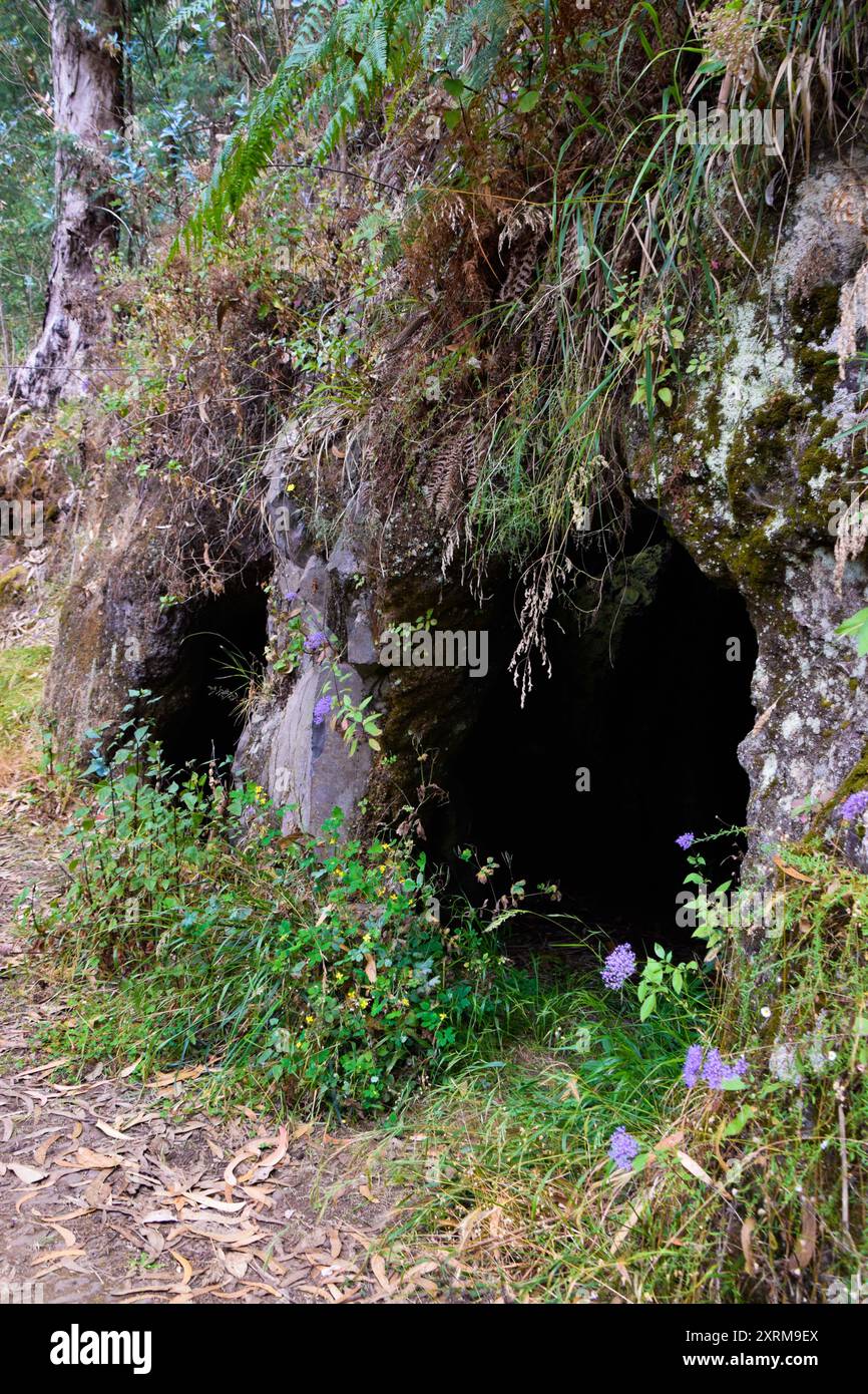 Entrance to the Bear Cave Stock Photo