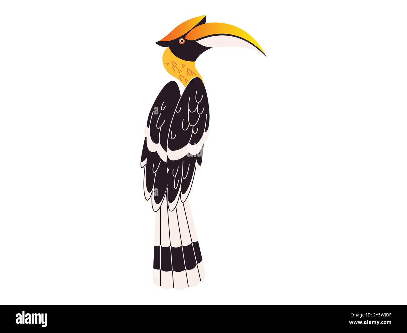 Hornbill exotic fauna endangered animal tropical rainforest habitat place unique bird Bucerotidae species design Stock Vector