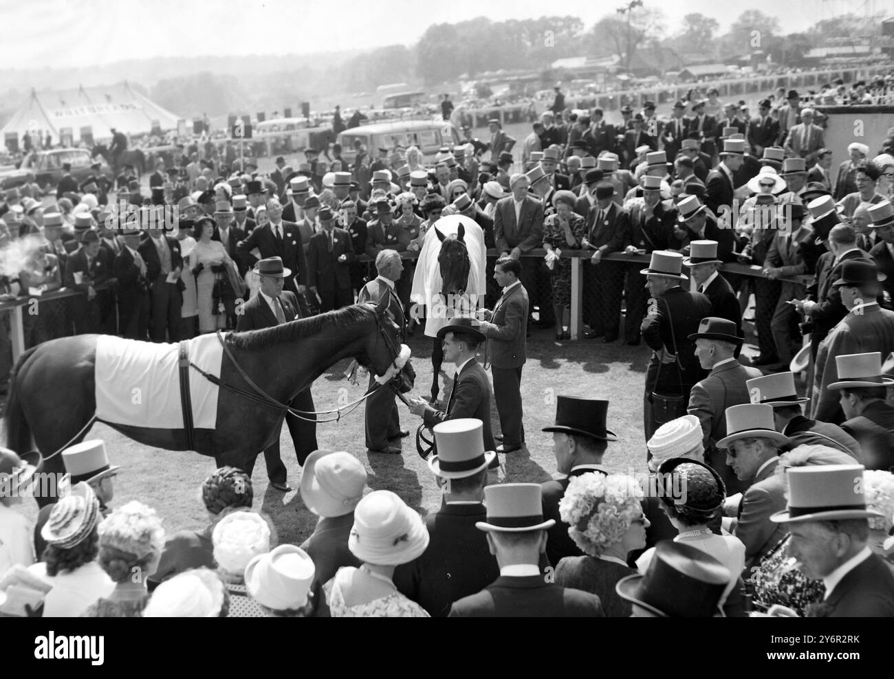 HORSES RACE WEST SIDE STORY & MONADE LED WINNERS ENCLOSURE DECISION  ;  8 JUNE 1962 Stock Photo