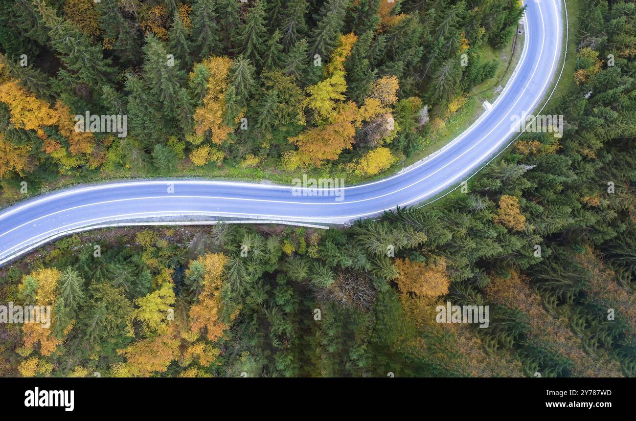 Road through the forest, top view, from a bird's eye view of a quadcopter Stock Photo