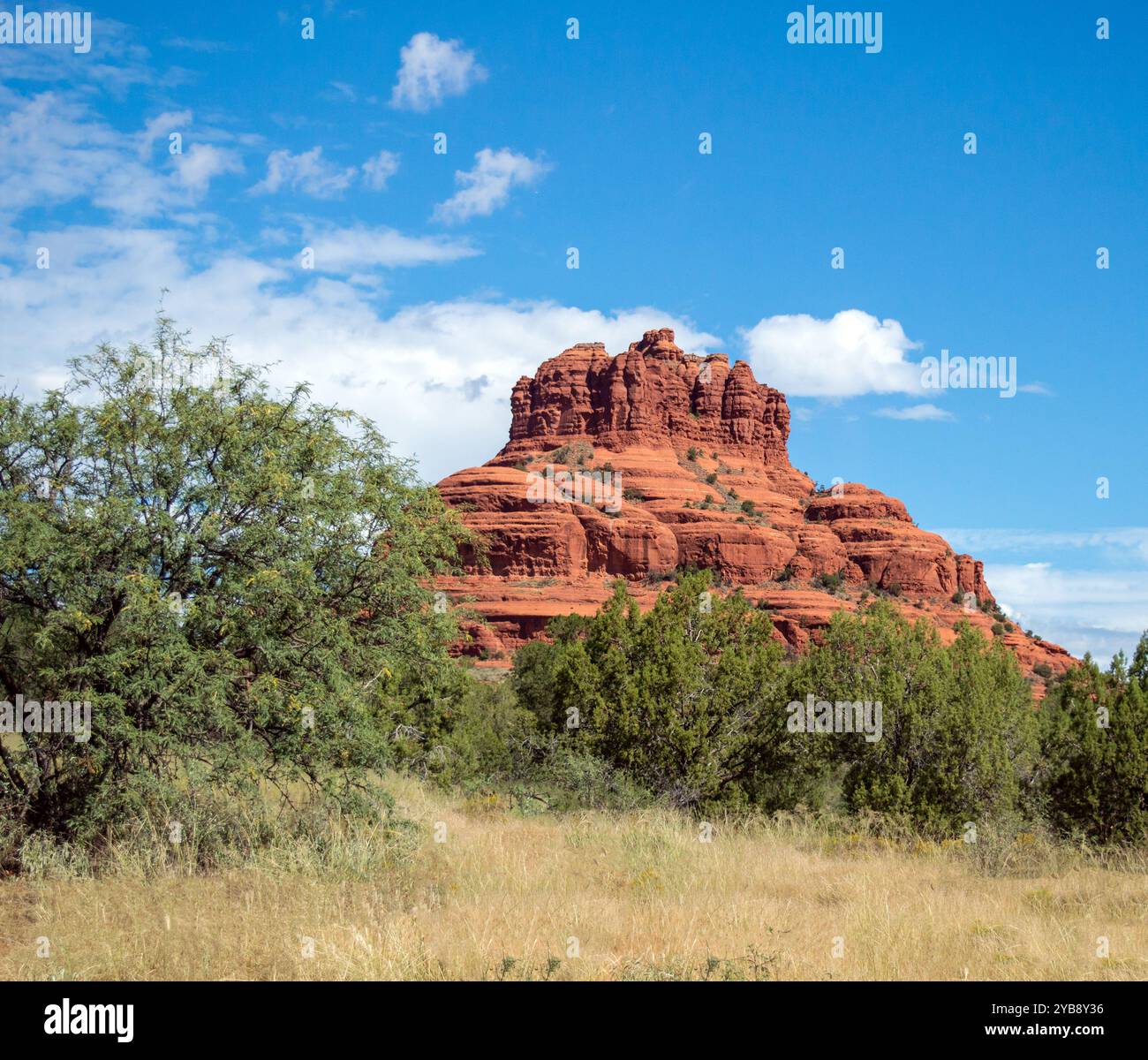 The magnificent Red Bell Rock in Sedona, Arizona against an lovely vivid blue sky with white clouds in the background and green vegetation in the fore Stock Photo