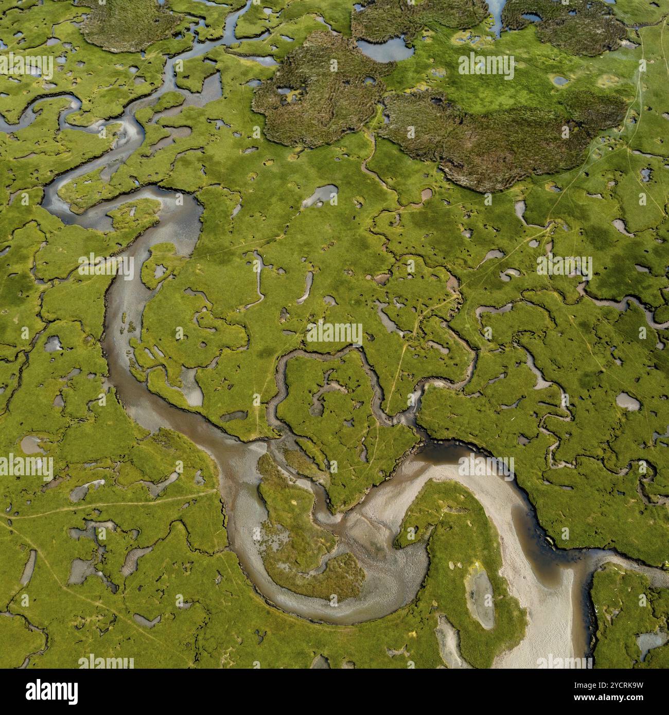 A top down view of the creeks and pools and rivers of the Carrowmore Lacken saltmarsh in northern County Mayo Stock Photo