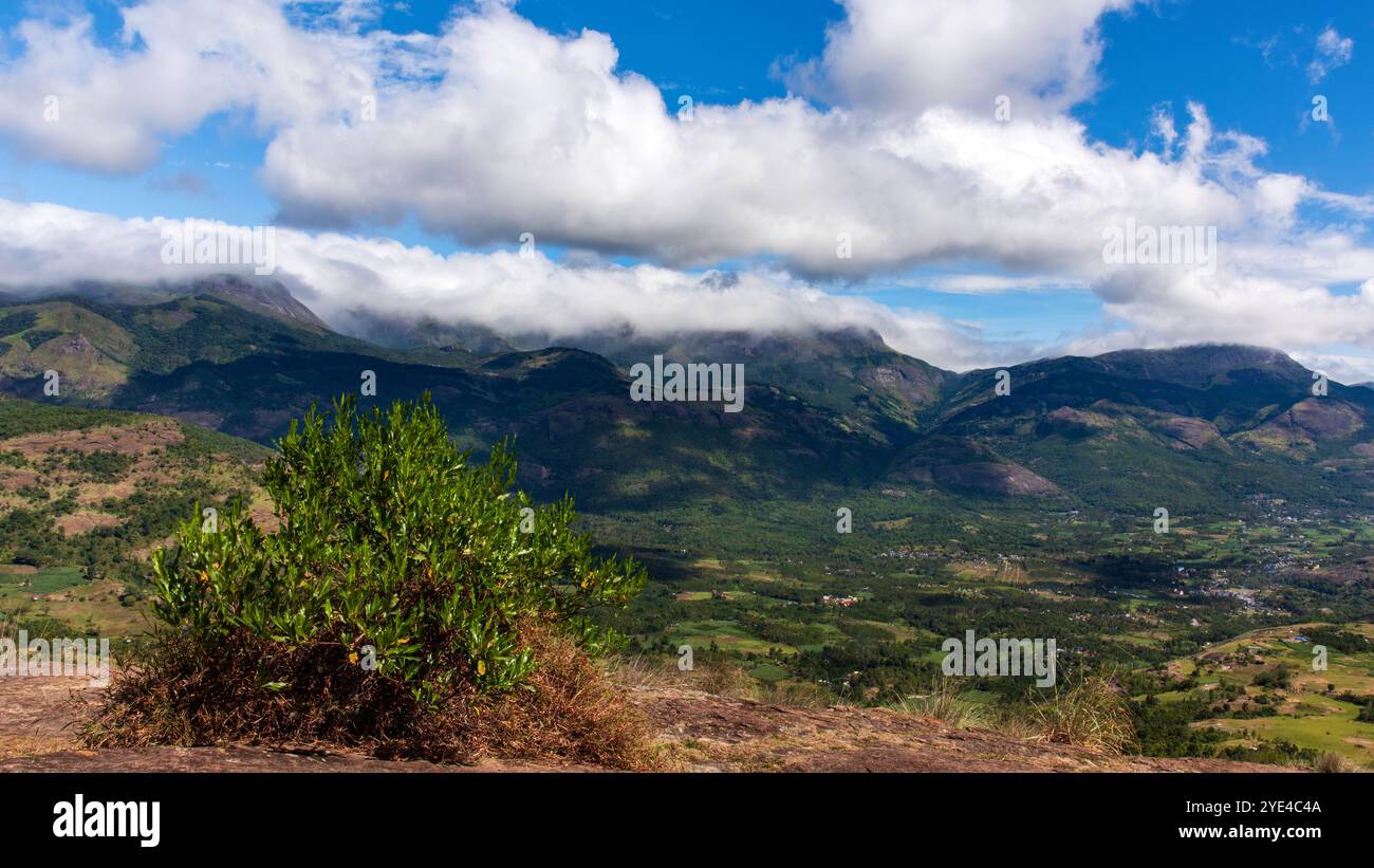 A colourful landscape of Munnar,Kerala,India. Stock Photo