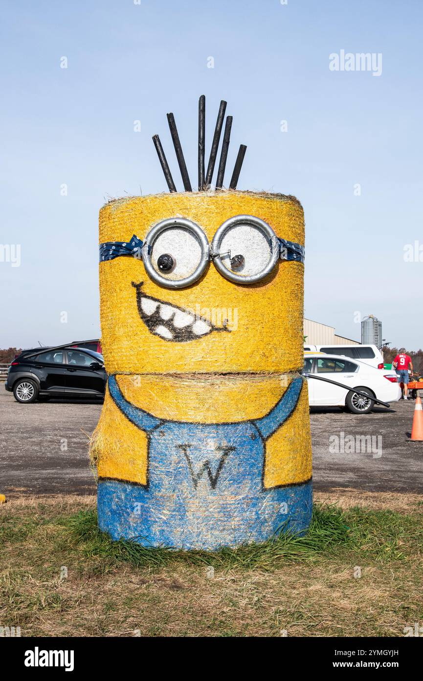 Hay Minions at Warner Ranch and Pumpkin Farm on Schisler Road in Niagara Falls, Ontario, Canada Stock Photo