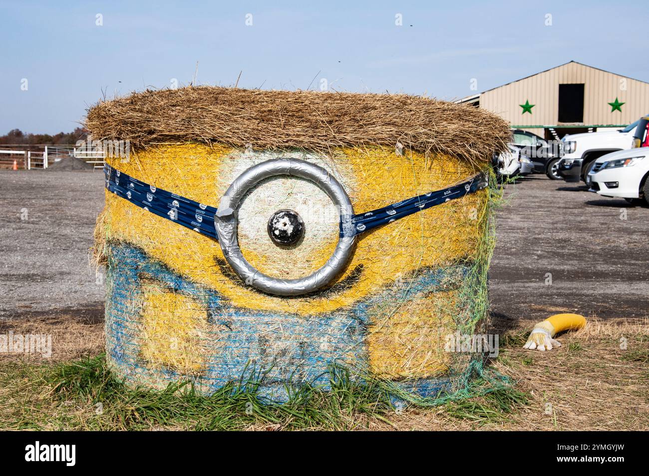 Hay Minions at Warner Ranch and Pumpkin Farm on Schisler Road in Niagara Falls, Ontario, Canada Stock Photo