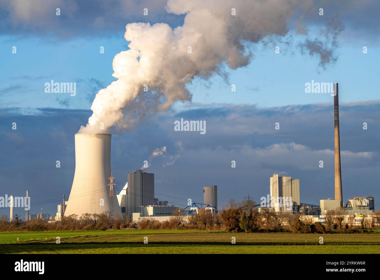 The STEAG coal-fired power plant Duisburg-Walsum, on the site of the former Walsum colliery, on the Rhine, unit 10 in operation, 181 meter high coolin Stock Photo