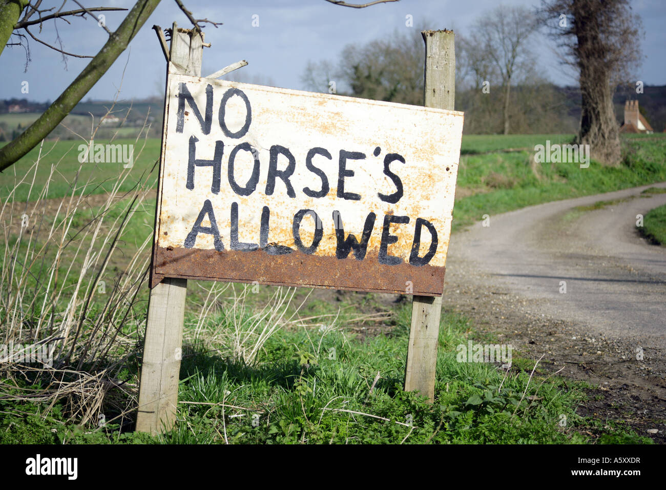 "No horses allowed" warning sign, Essex, England, UK Stock Photo