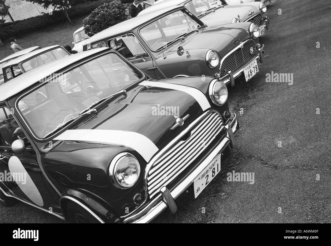 Asia, Japan, Gotemba. Gotemba Ferrari Museum; rally of English Minis Stock Photo