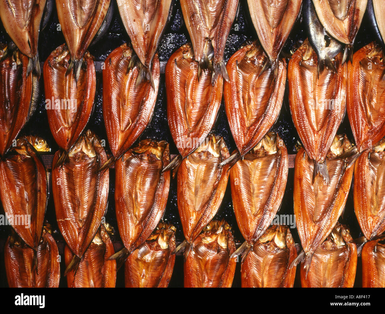 dh Scottish Smoking oven display FISH SMOKED UK SCOTLAND Rows of smoked kippers preserved food dried hanging close up cured fishes Stock Photo