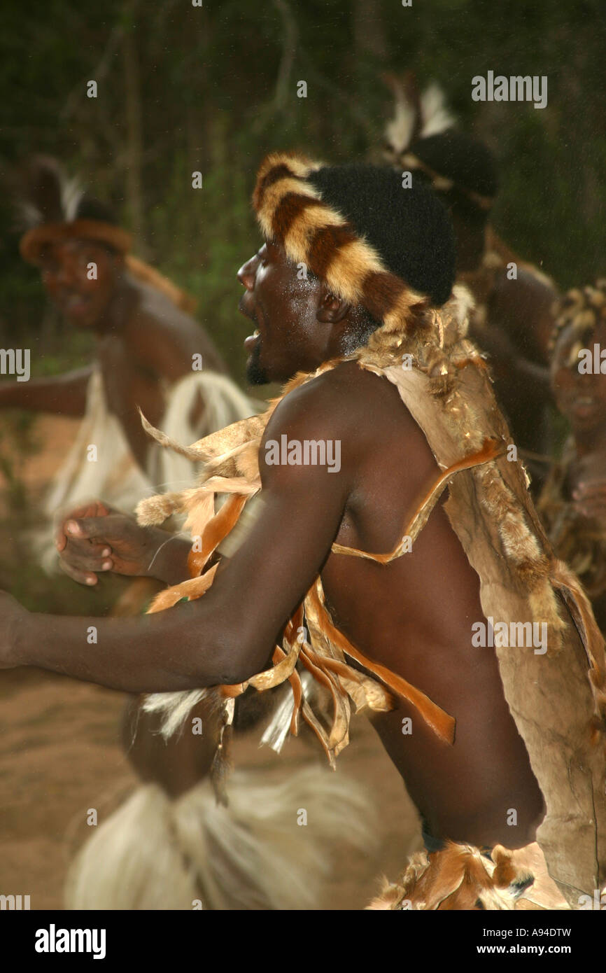 Tonga dancers dressed in animal skin garb in action Maputaland Kwazulu Natal South Africa Stock Photo