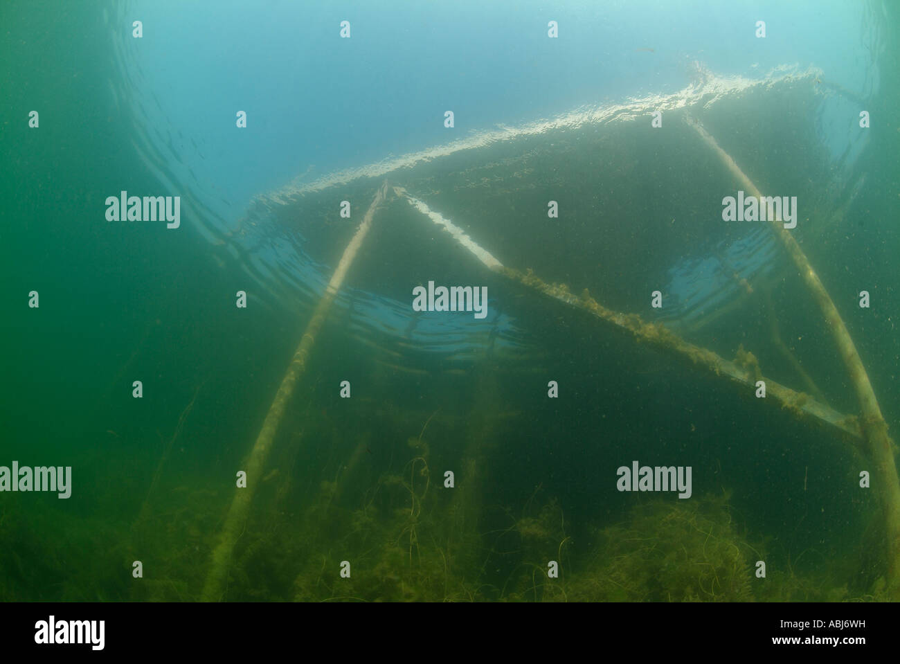 Diving deck in Clear Spring lake in Texas Stock Photo