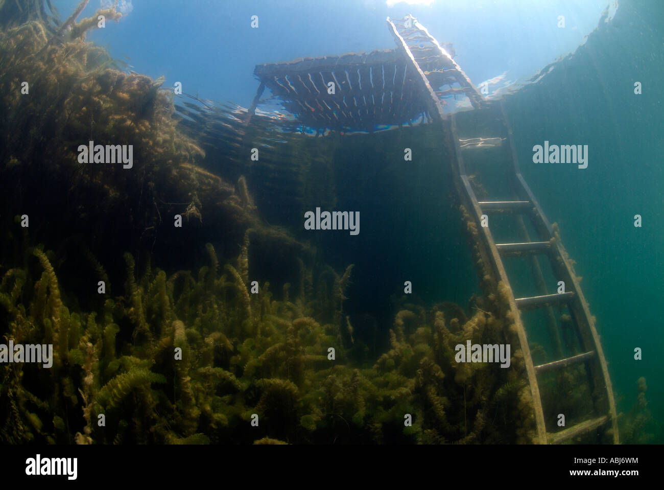 Diving deck in Clear Spring lake in Texas Stock Photo