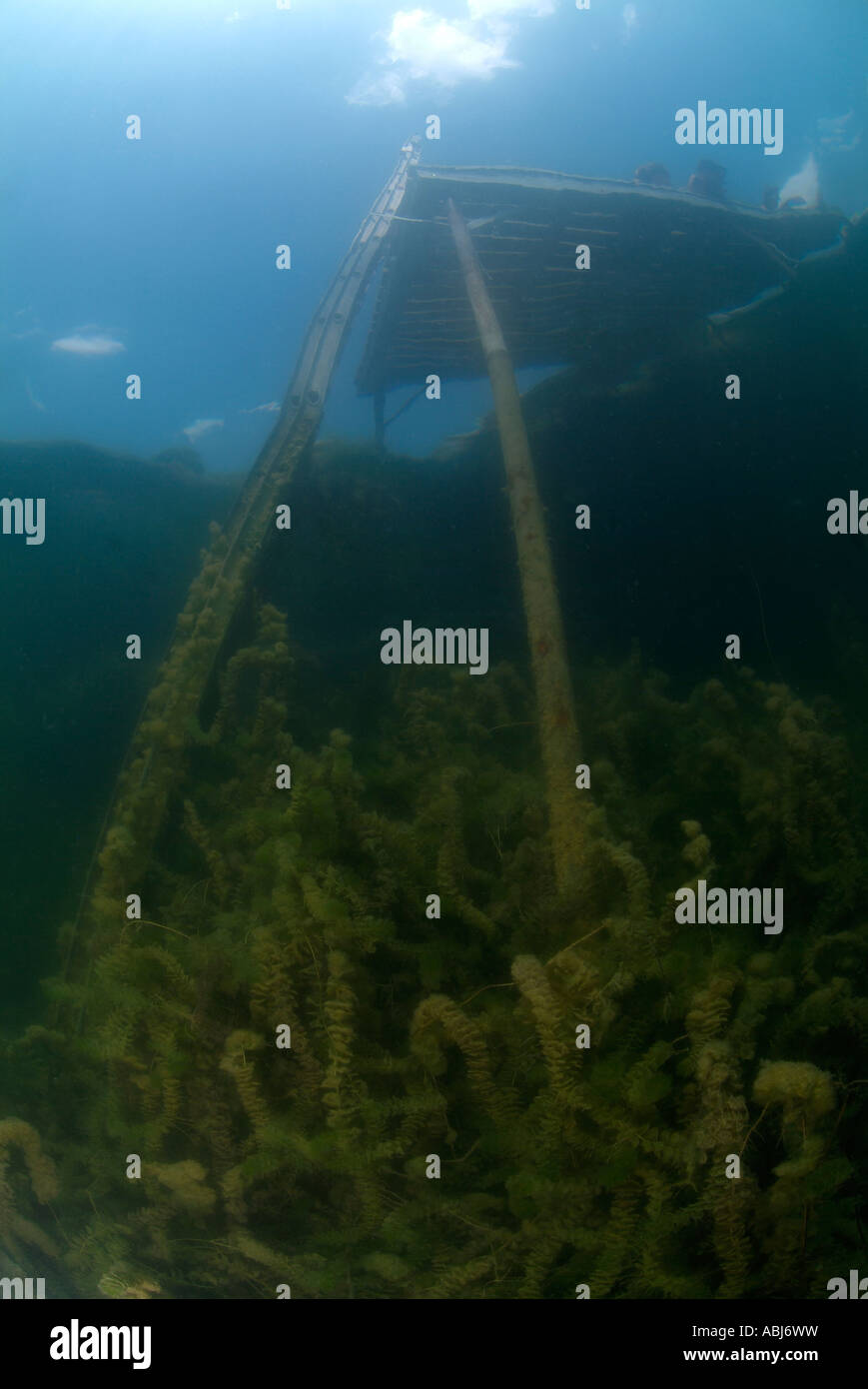 Diving deck in Clear Spring lake in Texas Stock Photo