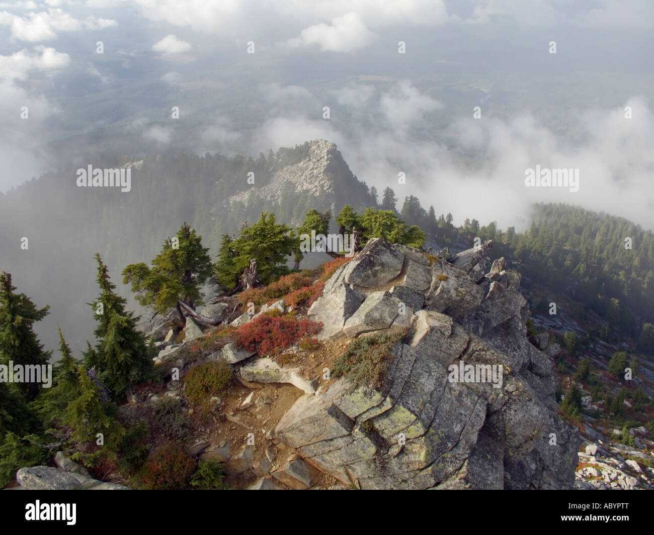 Above The Clouds On Mount Pilchuck Stock Photo