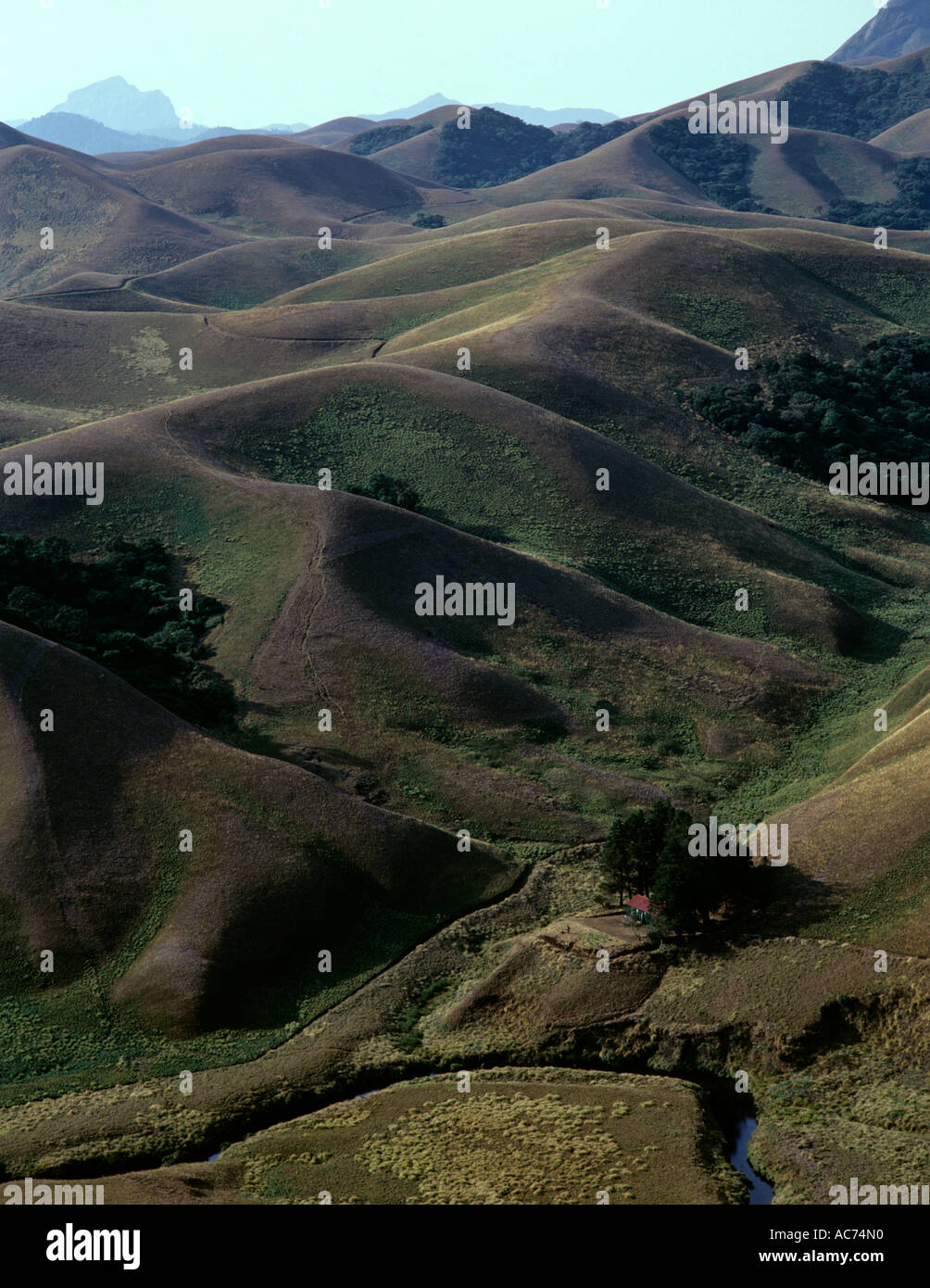 ROLLING GRASSLANDS OF ERAVIKULAM NATIONAL PARK Stock Photo