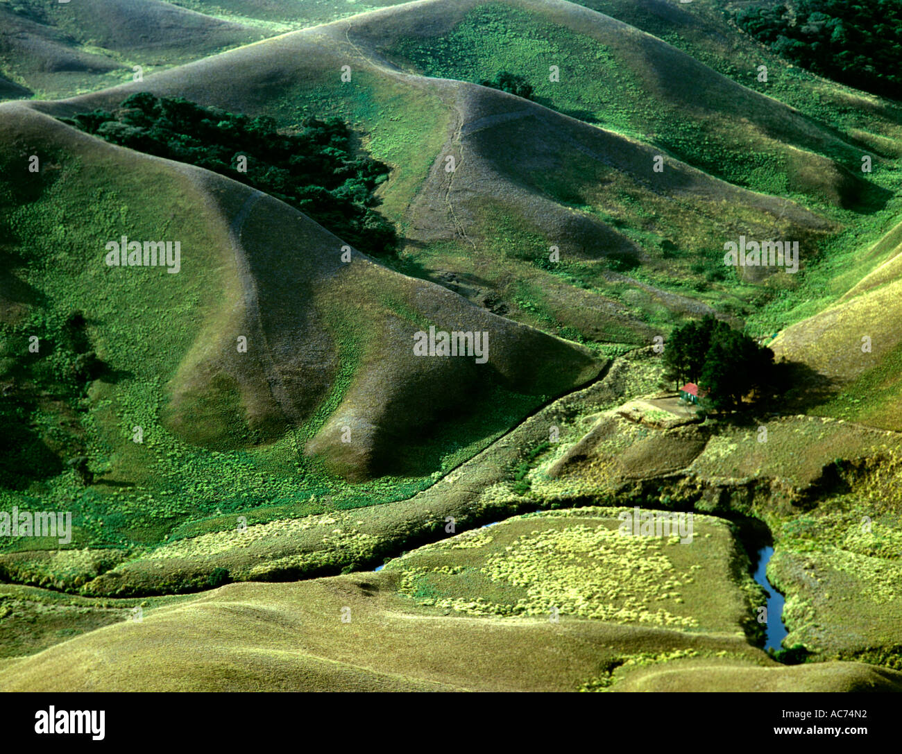 ROLLING GRASSLANDS OF ERAVIKULAM NATIONAL PARK Stock Photo