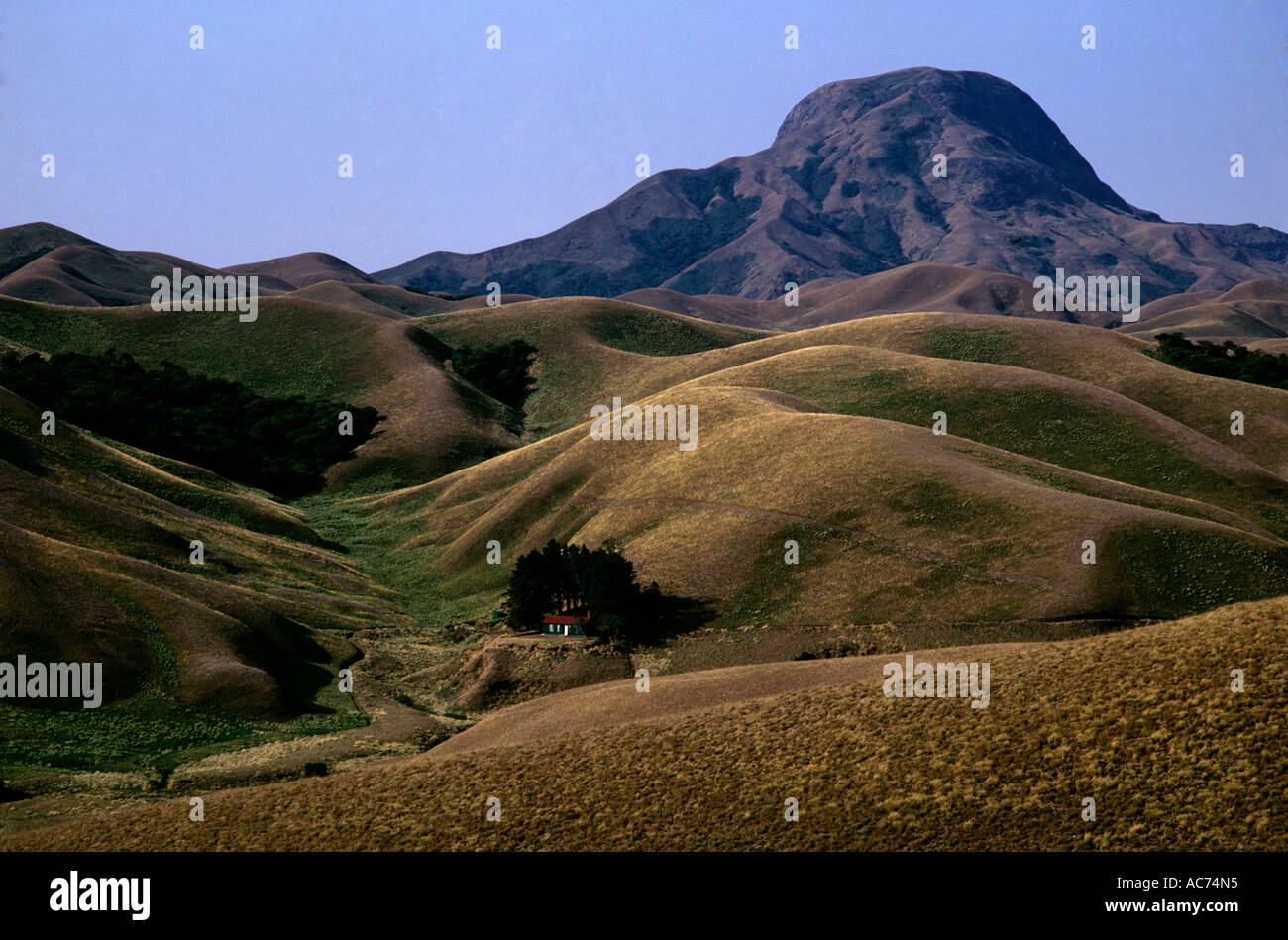 ROLLING GRASSLANDS WITH ANAMUDI PEAK IN THE BACKGROUND, ERAVIKULAM NATIONAL PARK Stock Photo