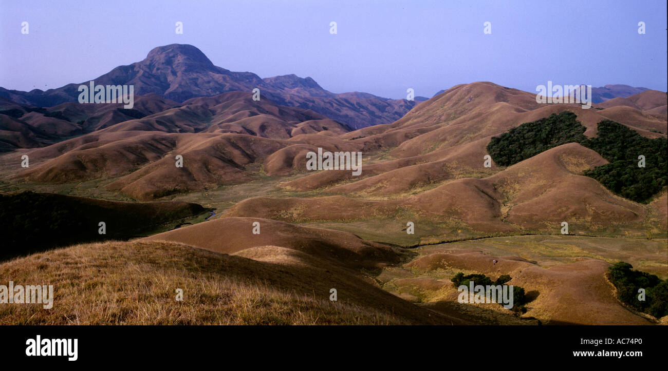 ROLLING GRASSLANDS WITH THE MAJESTIC ANAMUDI PEAK TOWERING OVER THE LAND, ERAVIKULAM NATIONAL PARK Stock Photo