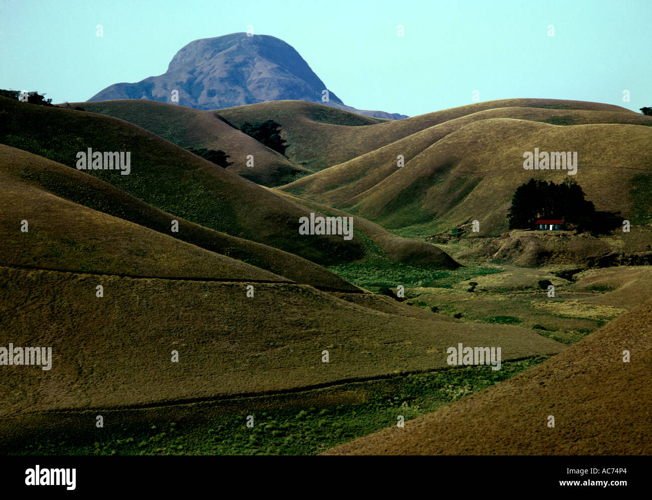 ROLLING GRASSLANDS WITH THE MAJESTIC ANAMUDI PEAK TOWERING OVER THE LAND, ERAVIKULAM NATIONAL PARK Stock Photo