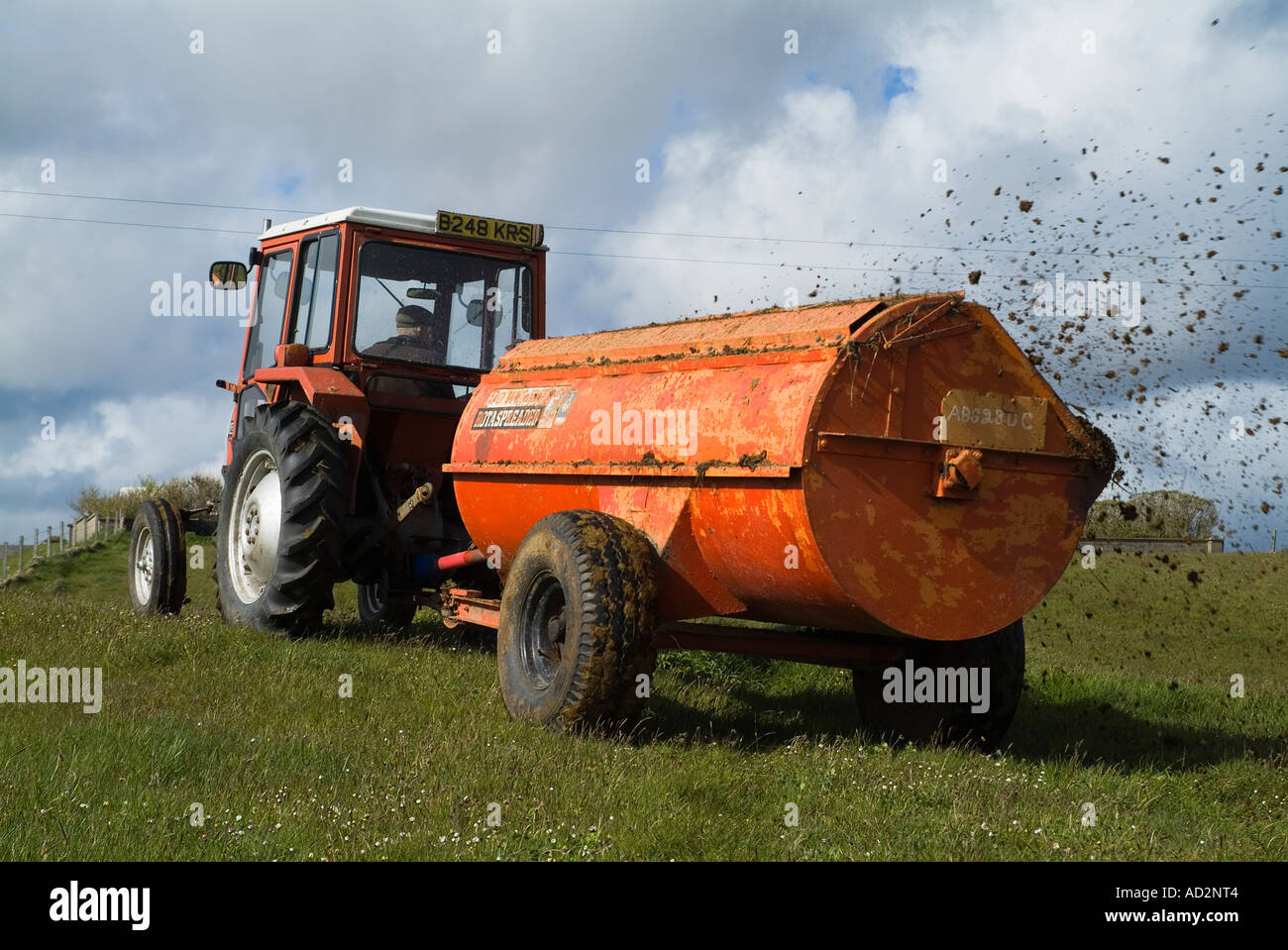 dh Massey Ferguson 240 TRACTOR FARM UK FARMING Pulling dung spreader manure manuring spread on fields muck spreading Stock Photo