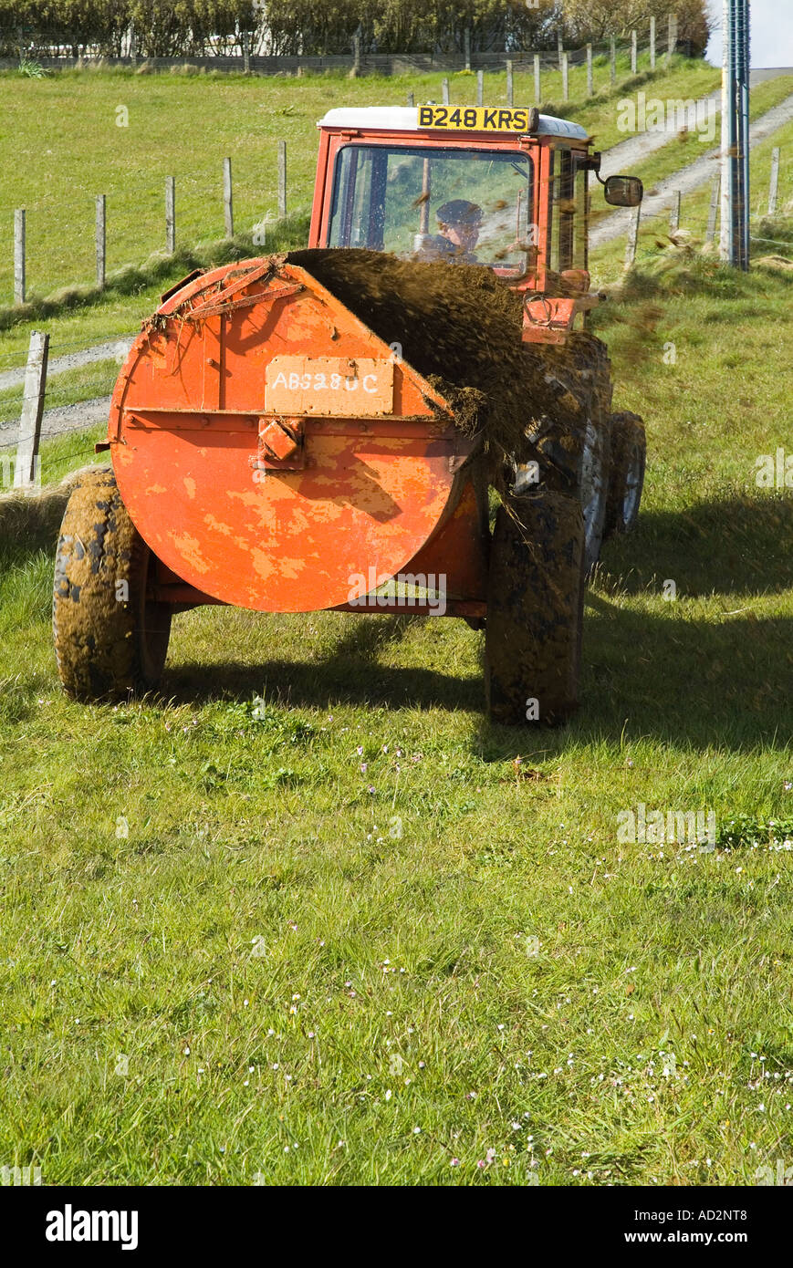 dh Massey Ferguson 240 TRACTOR FARM UK FARMING Pulling dung spreader fields manure muck spreading compost spread on field Stock Photo