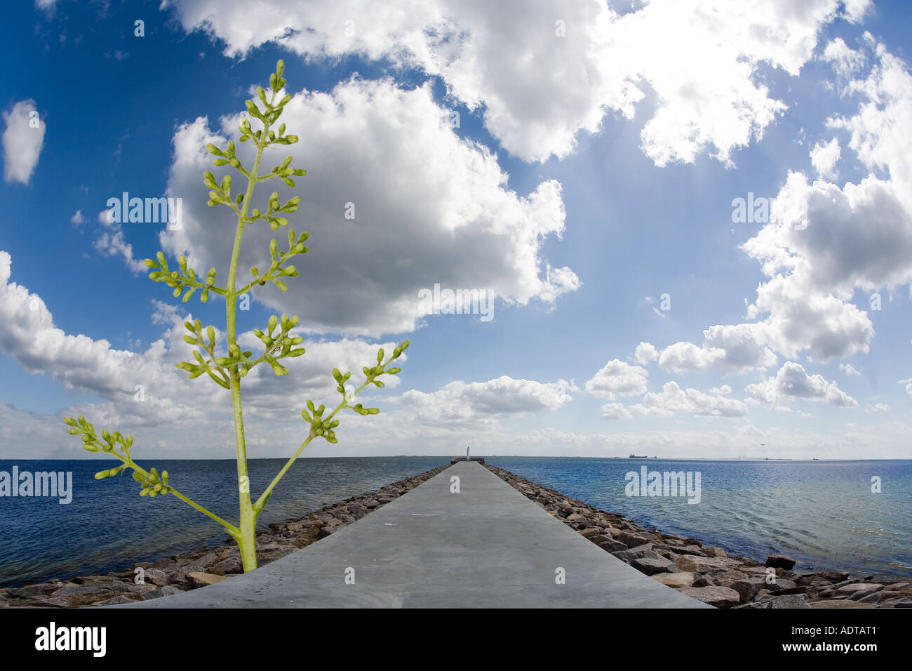 Pier Stock Photo