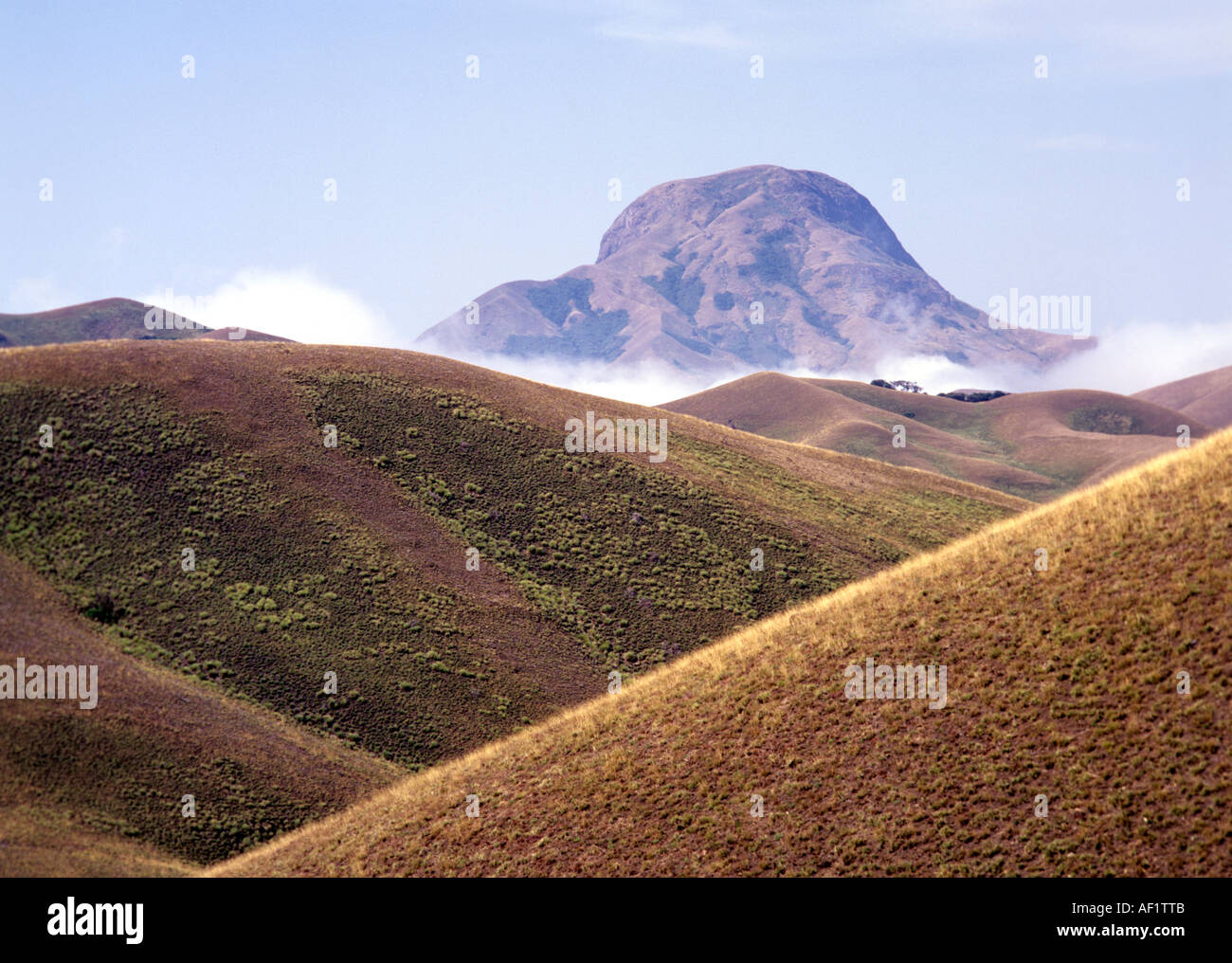 A VIEW OF ANAMUDI FROM ERAVIKULAM NATIONAL PARK Stock Photo