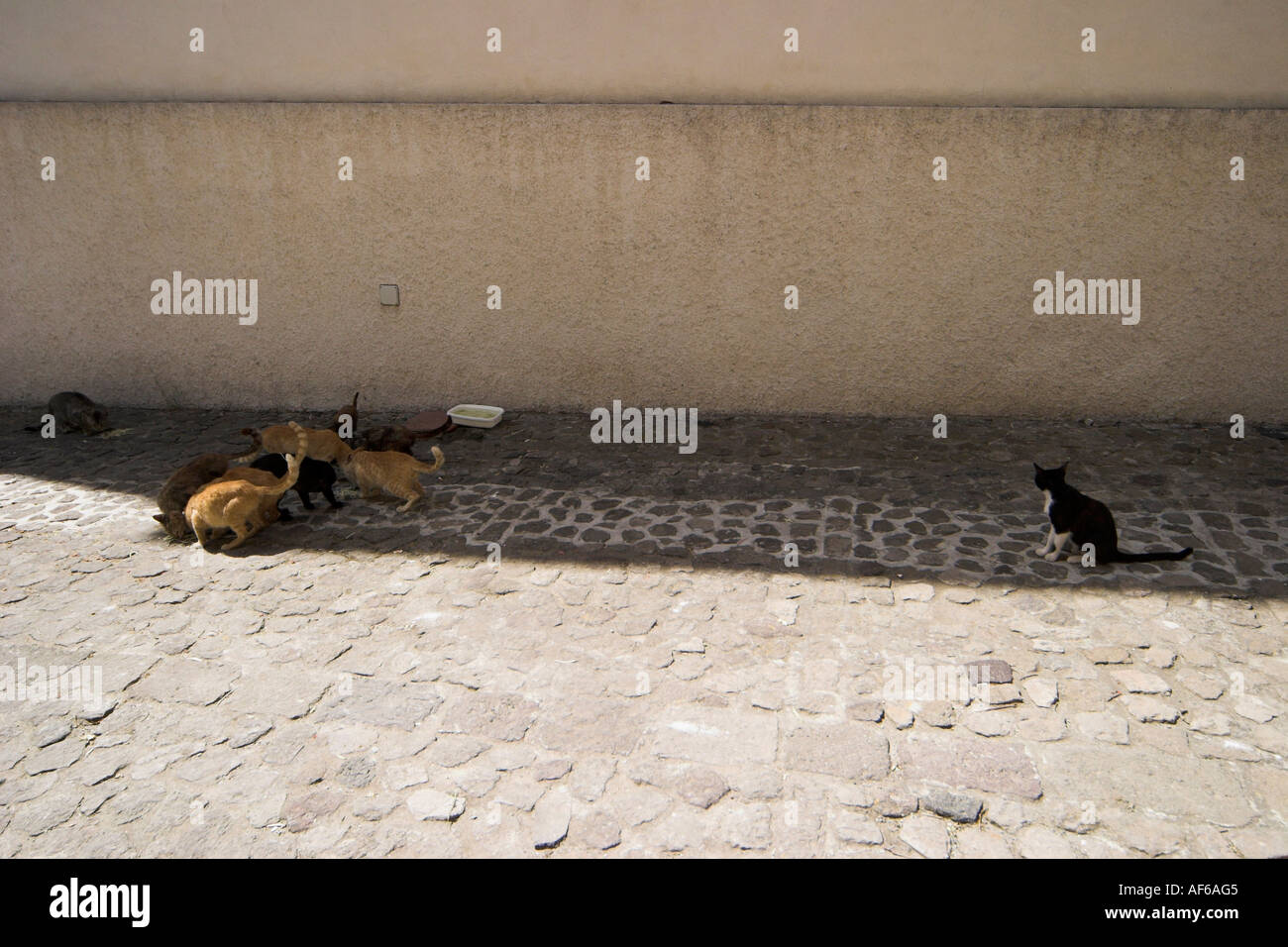 Odd one out Stock Photo