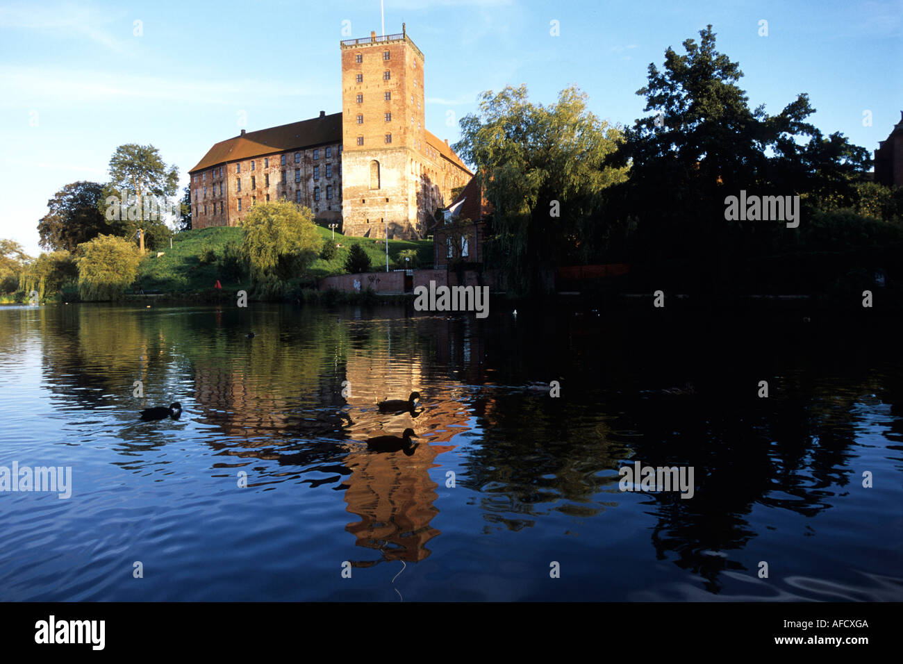 Ducks at Koldinghus Castle, Kolding, Southern Jutland, Denmark Stock Photo