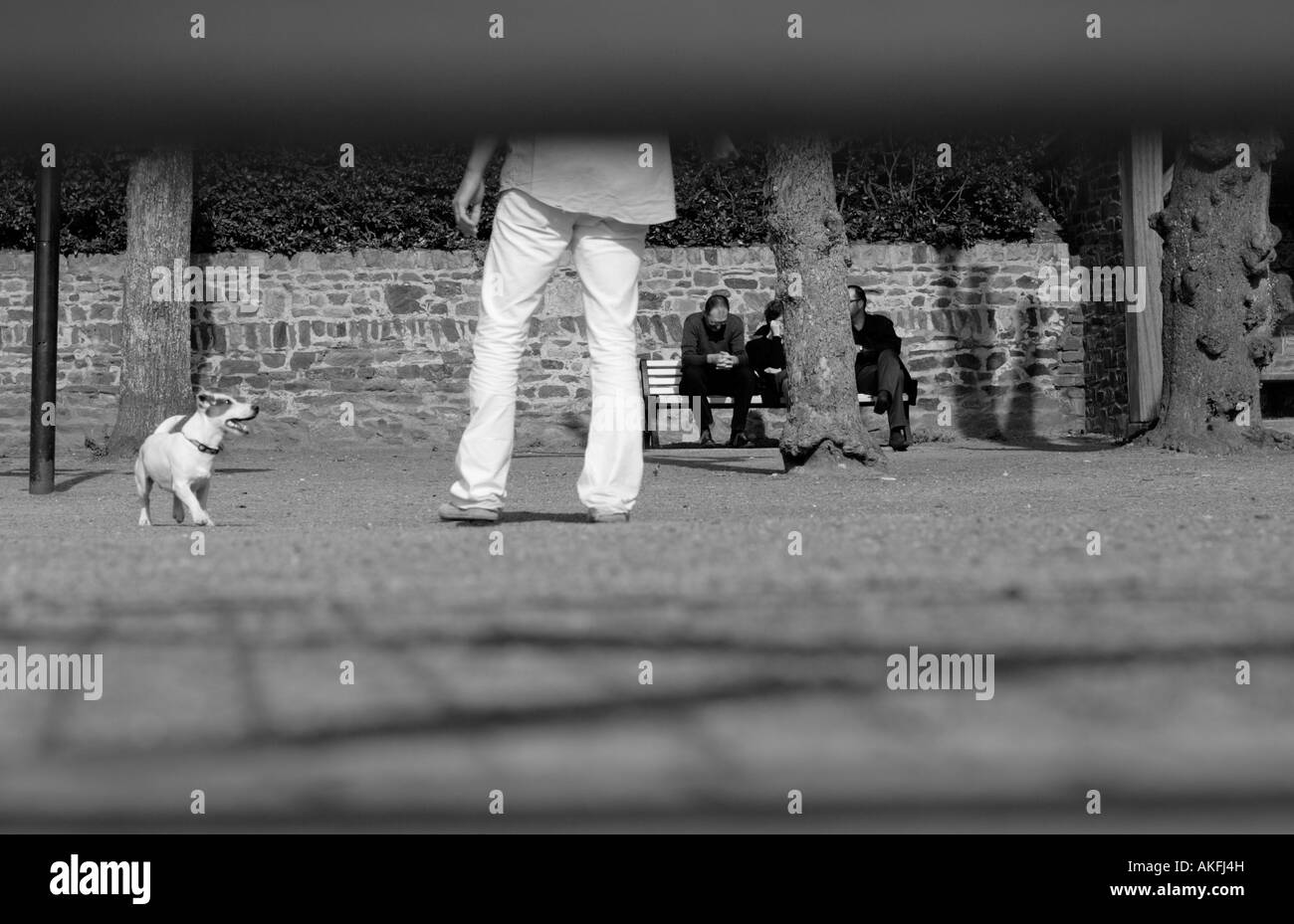 Worms eye view of one man and his dog with three people sitting on a bench in the background Stock Photo