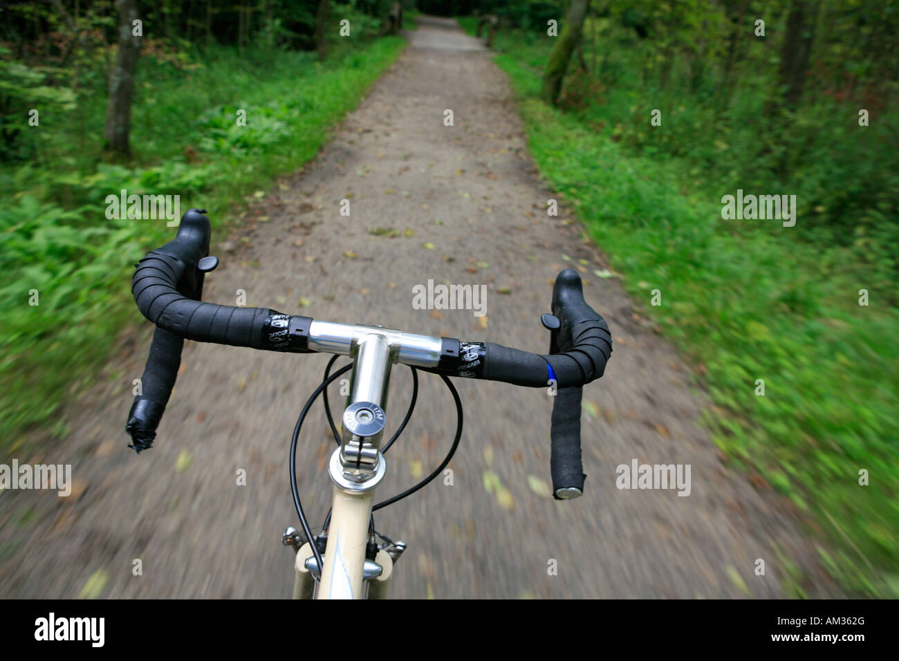 Racing bike on a forest track, Wohldorfer Wald, Hamburg, Germany Stock Photo