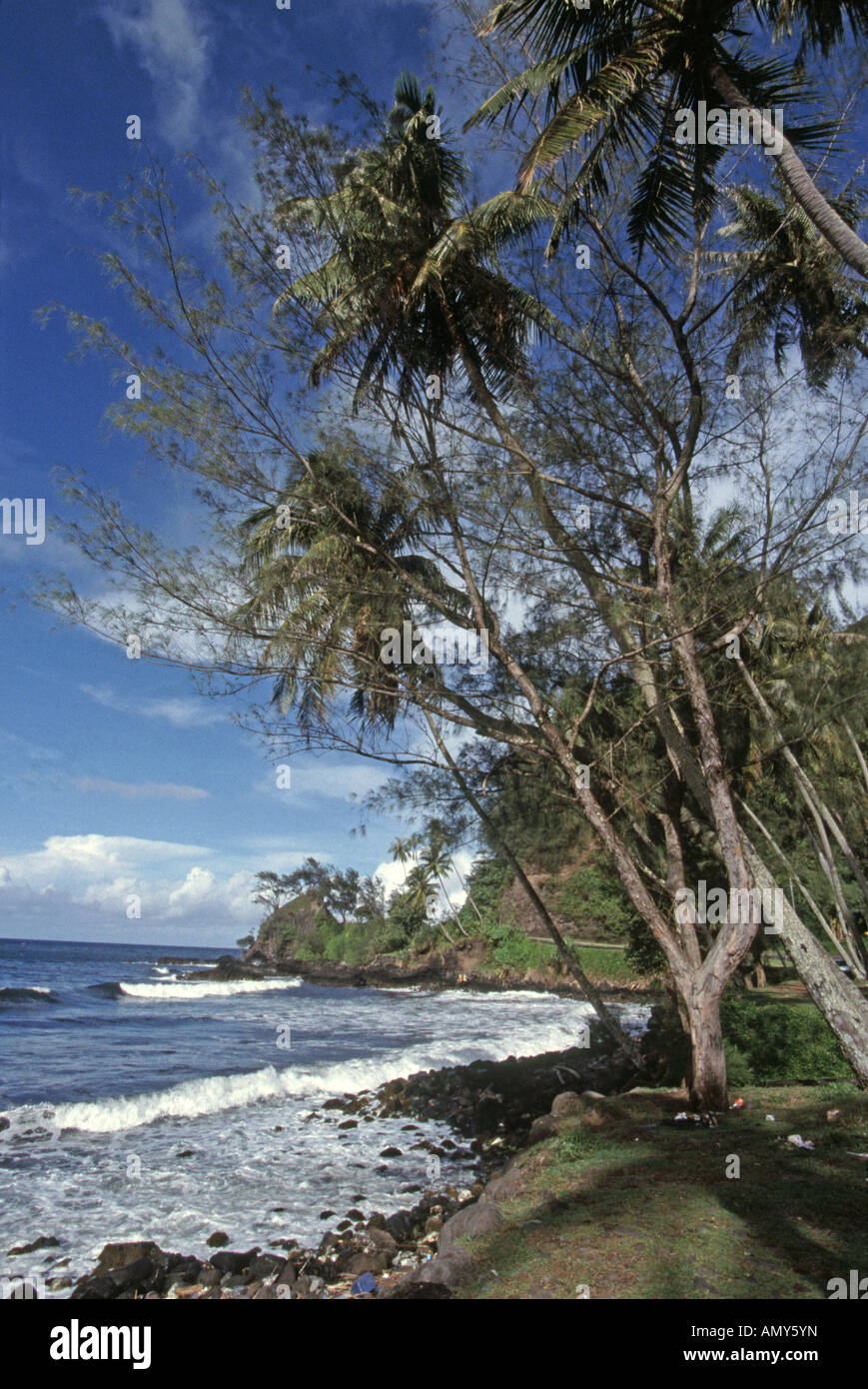 Palm trees at the famous Matavai Bay associated with the Bounty mutineers near Point Venus Tahiti South Pacific Ocean Stock Photo