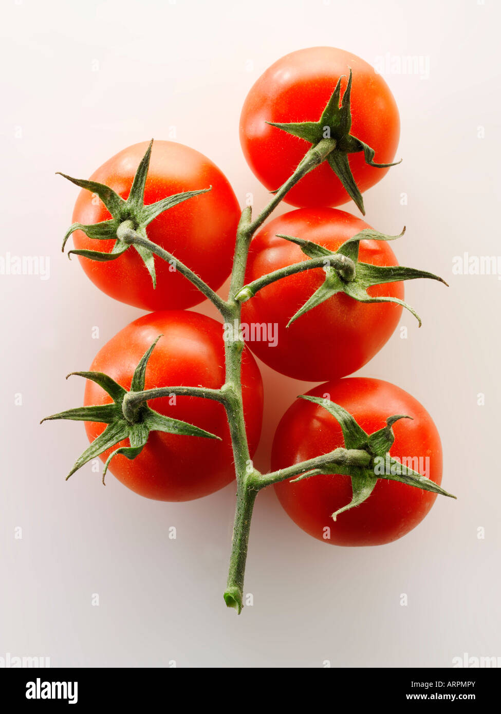 Raw fresh tomatoes on the vine Stock Photo