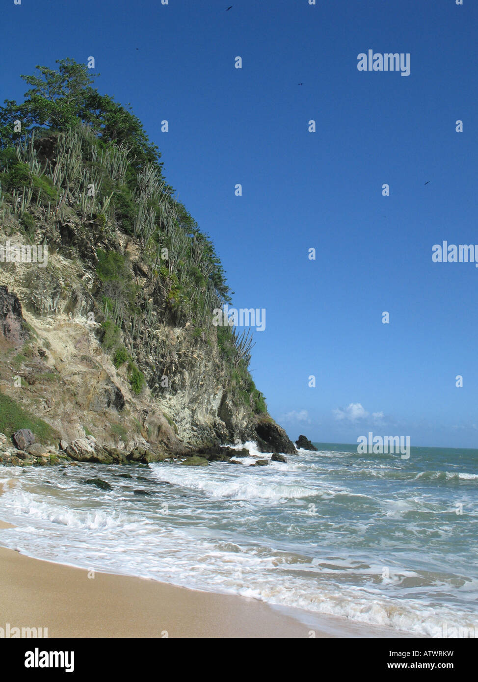 Peninsula de Paria wilderness, Caribbean sea Venezuela Stock Photo