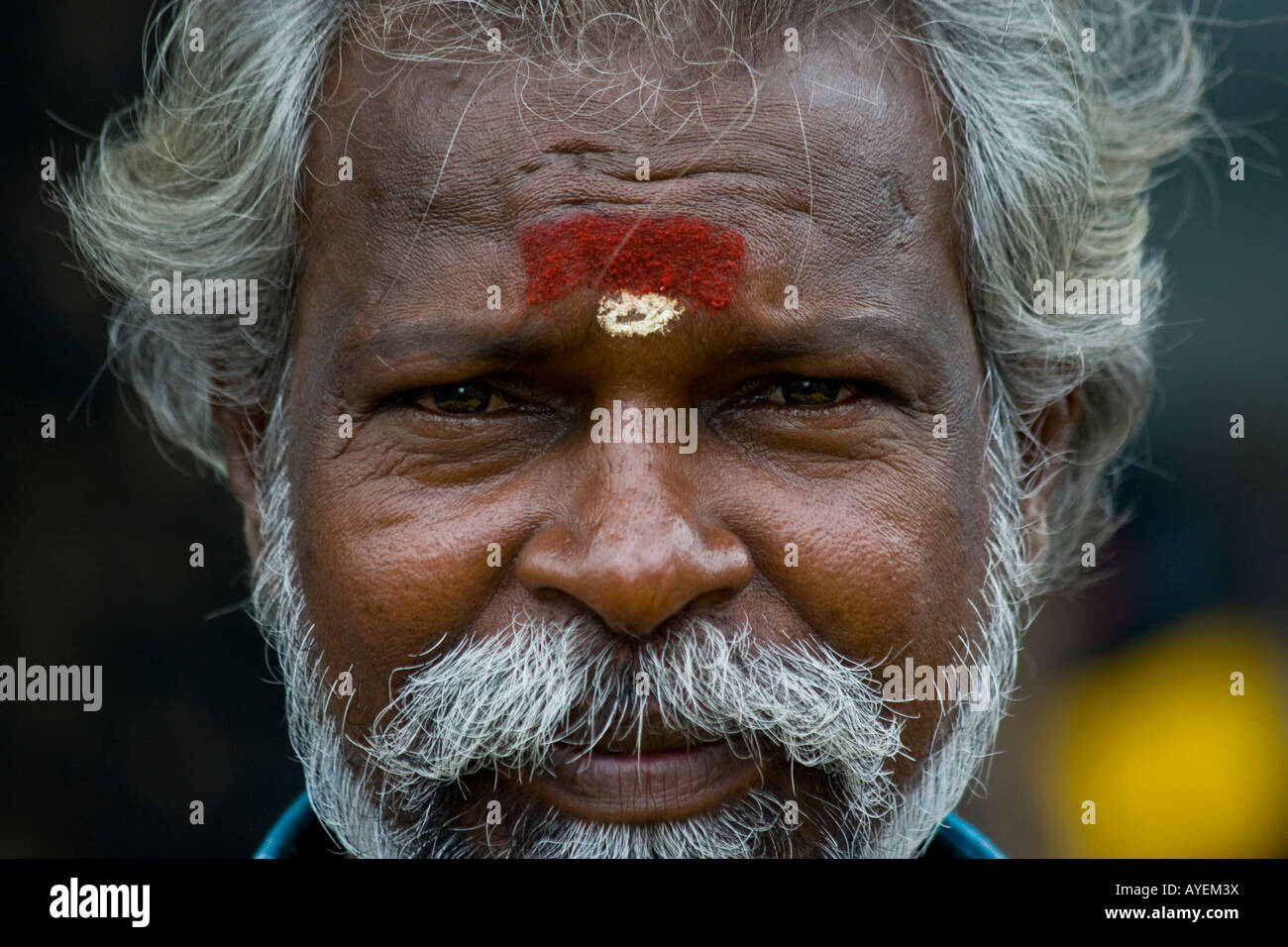 Portrait of a Hindu Indian Man in Chennai South India Stock Photo