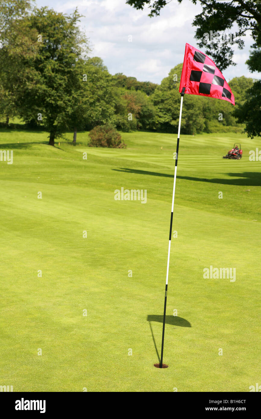 Closeup of golf course putting green hole pin with bright red and black chequered flag and luscious green grass golfing image Stock Photo