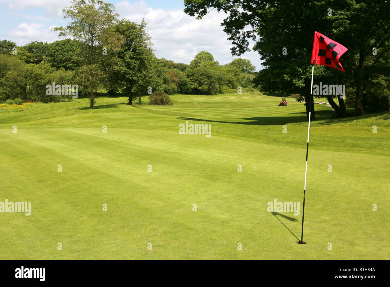 Closeup of golf course putting green hole pin with bright red and black chequered flag and luscious green grass golfing image Stock Photo