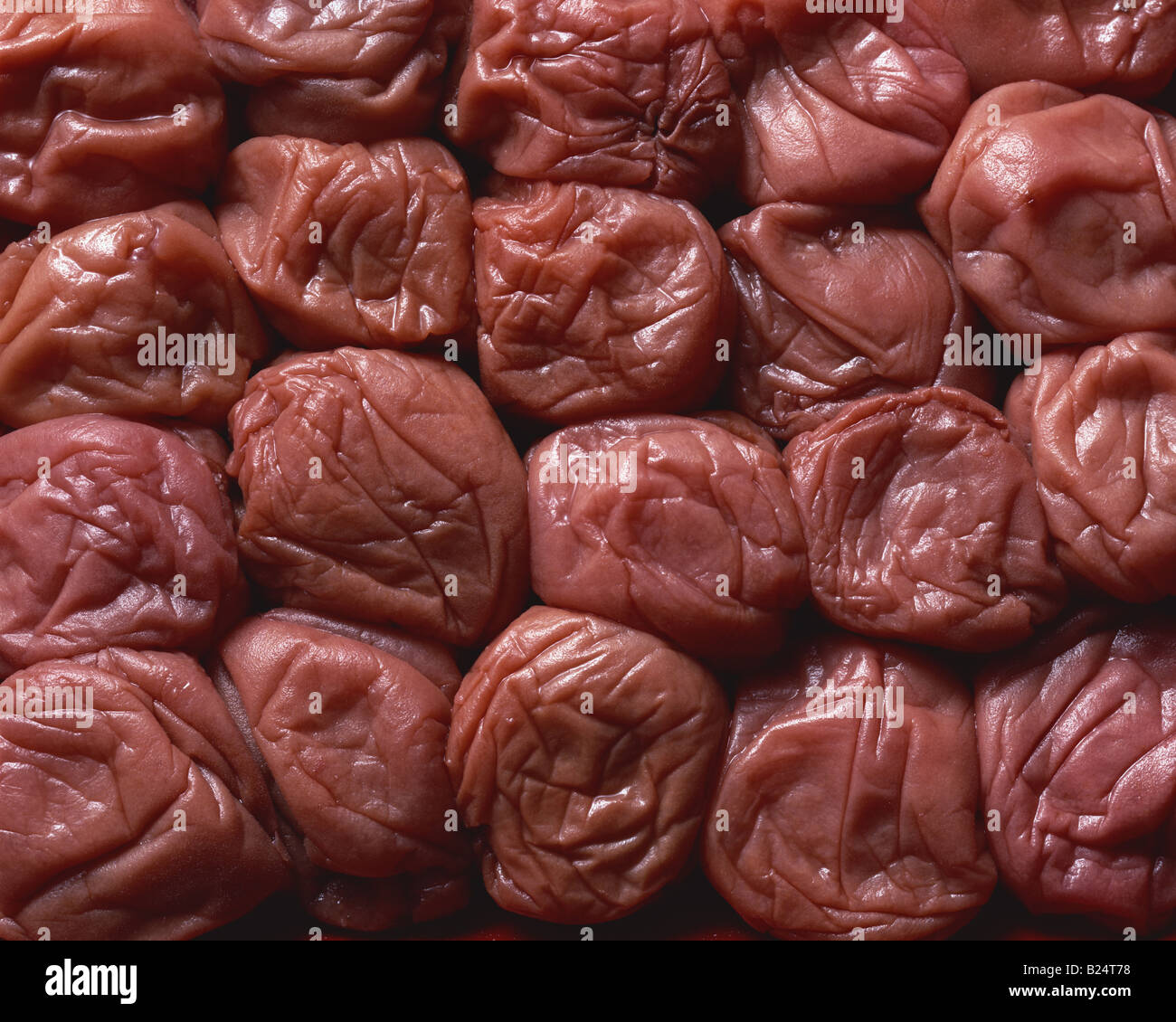 Umeboshi Stock Photo