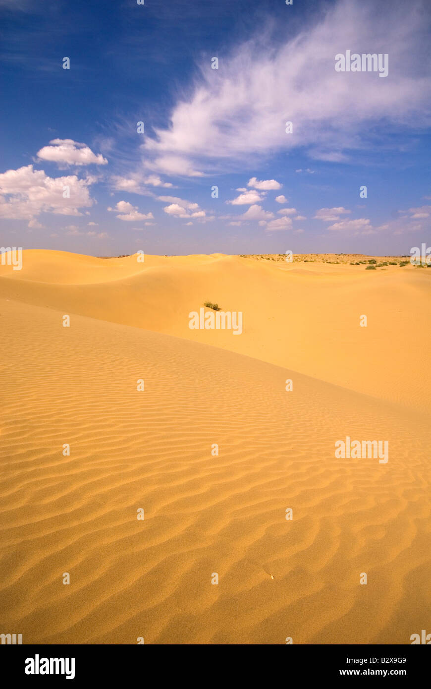 Sam Sand Dunes, Great Thar Desert, Rajasthan, India, Subcontinent, Asia Stock Photo