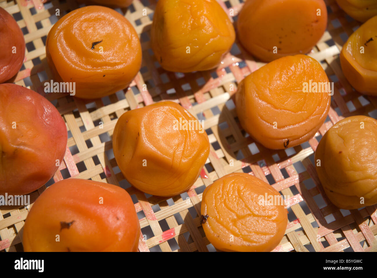 Detail of drying ume boshi Japanese pickled plums or prunus mume on a bamboo rack August 3 2006 Stock Photo