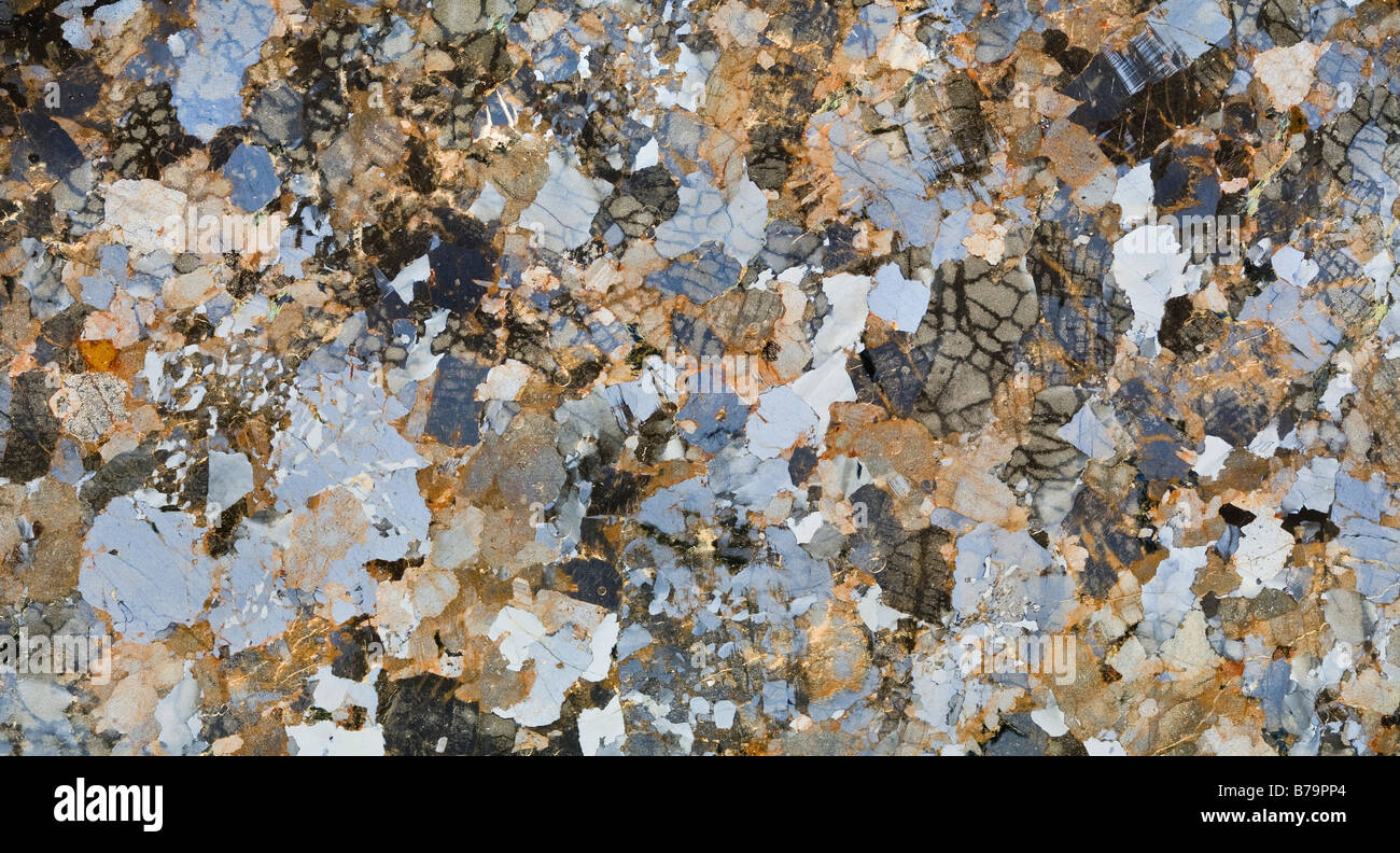 Photomicrograph of an Biotite Granite slide section, cross polarized lighting shows differentation between the various minerals. Stock Photo