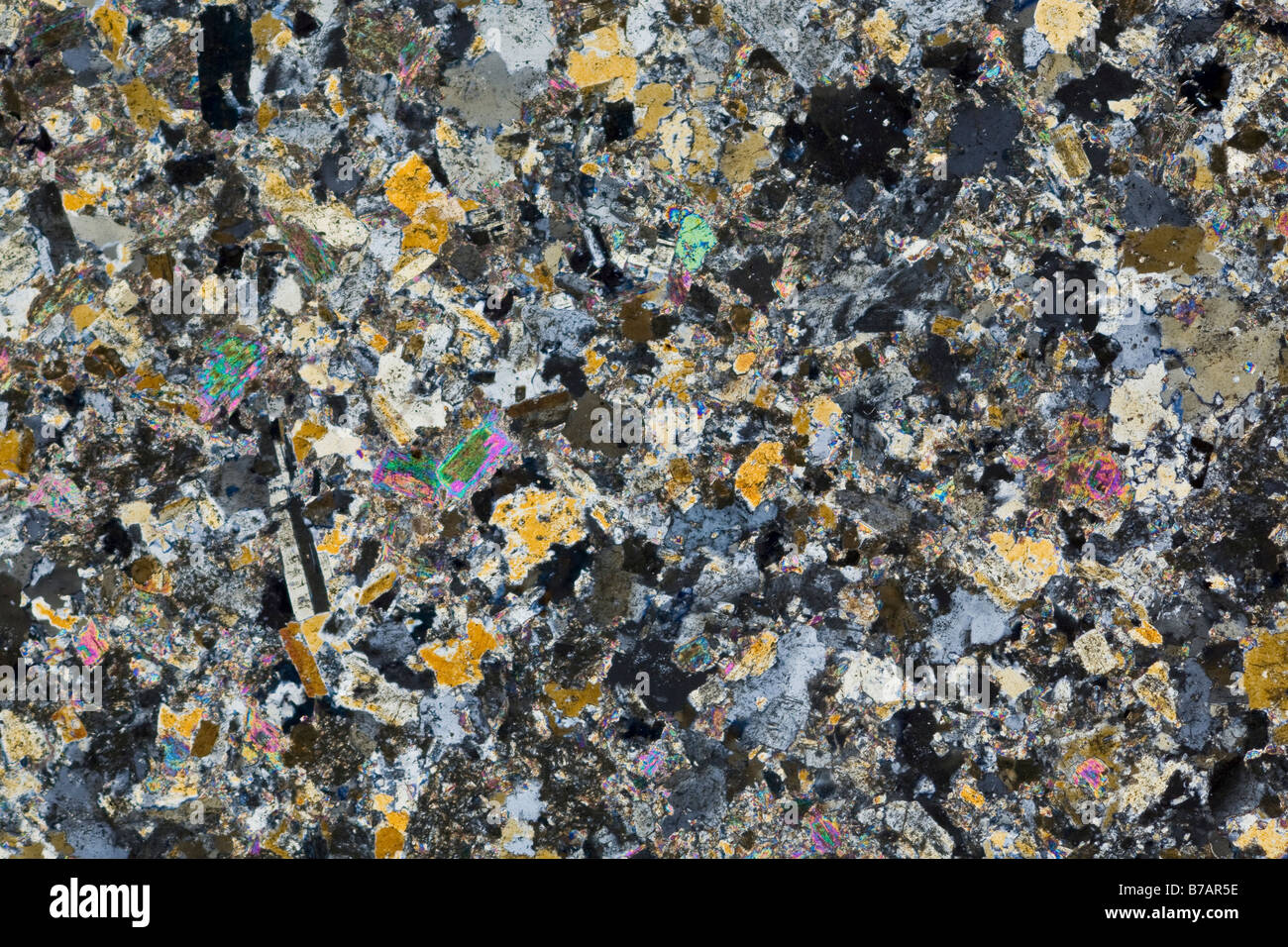 Photomicrograph of an Aplite Granite slide section, cross polarized lighting shows differentation between the various minerals. Stock Photo