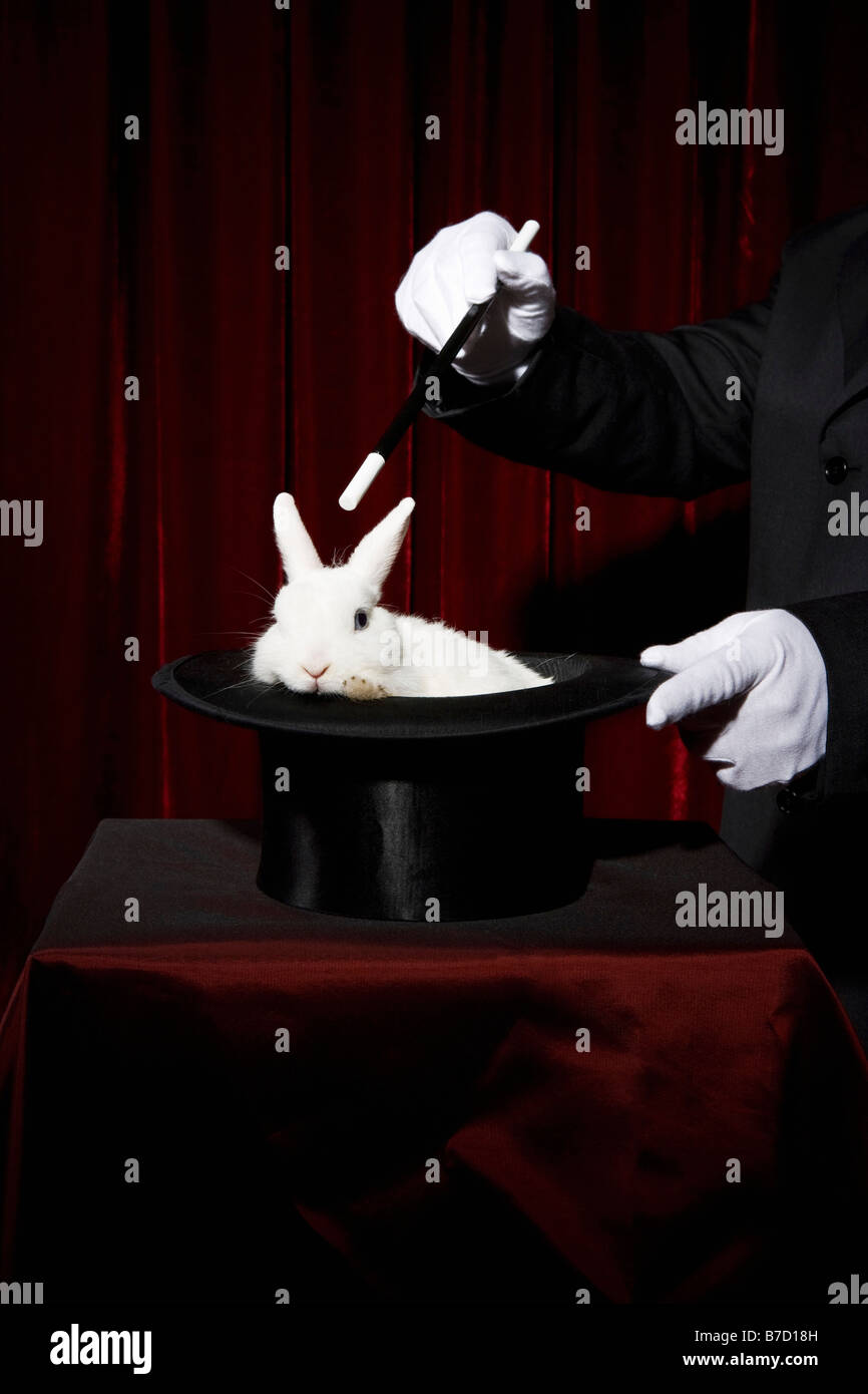 The gloved hands of a magician performing a magic trick with a rabbit in a top hat Stock Photo