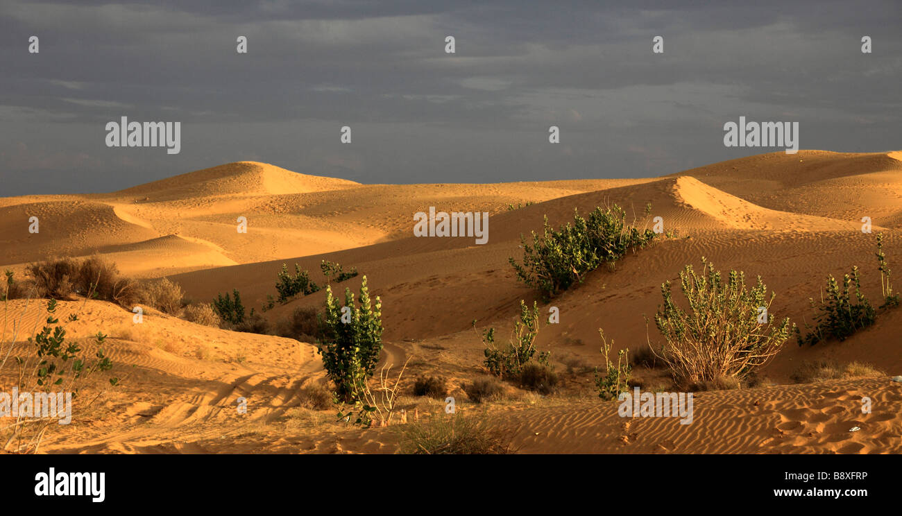 India Rajasthan Thar Desert Sam Sand Dunes Stock Photo