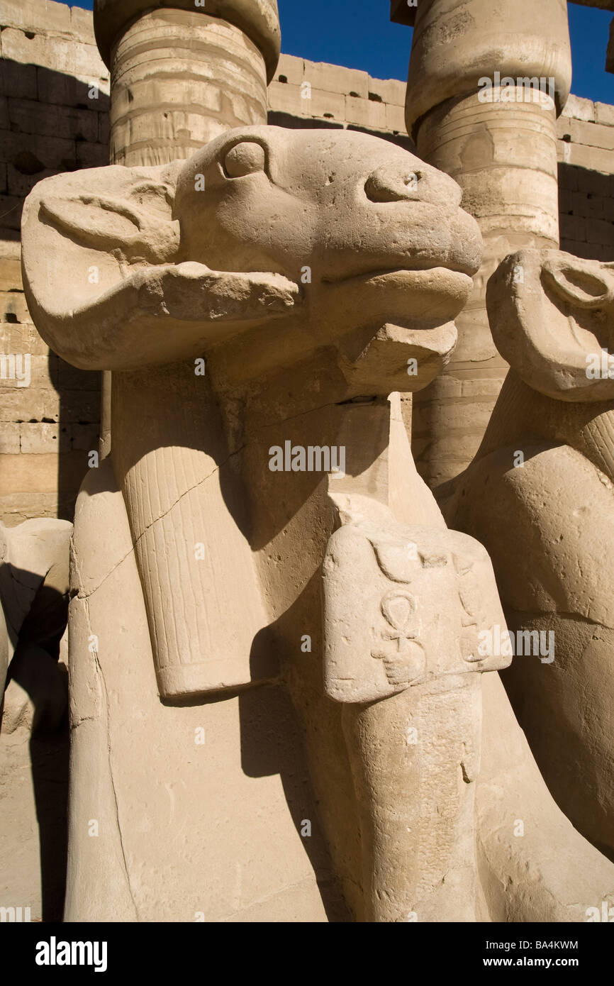 Ram headed sphinx, Karnak Temple, Luxor, Egypt Stock Photo