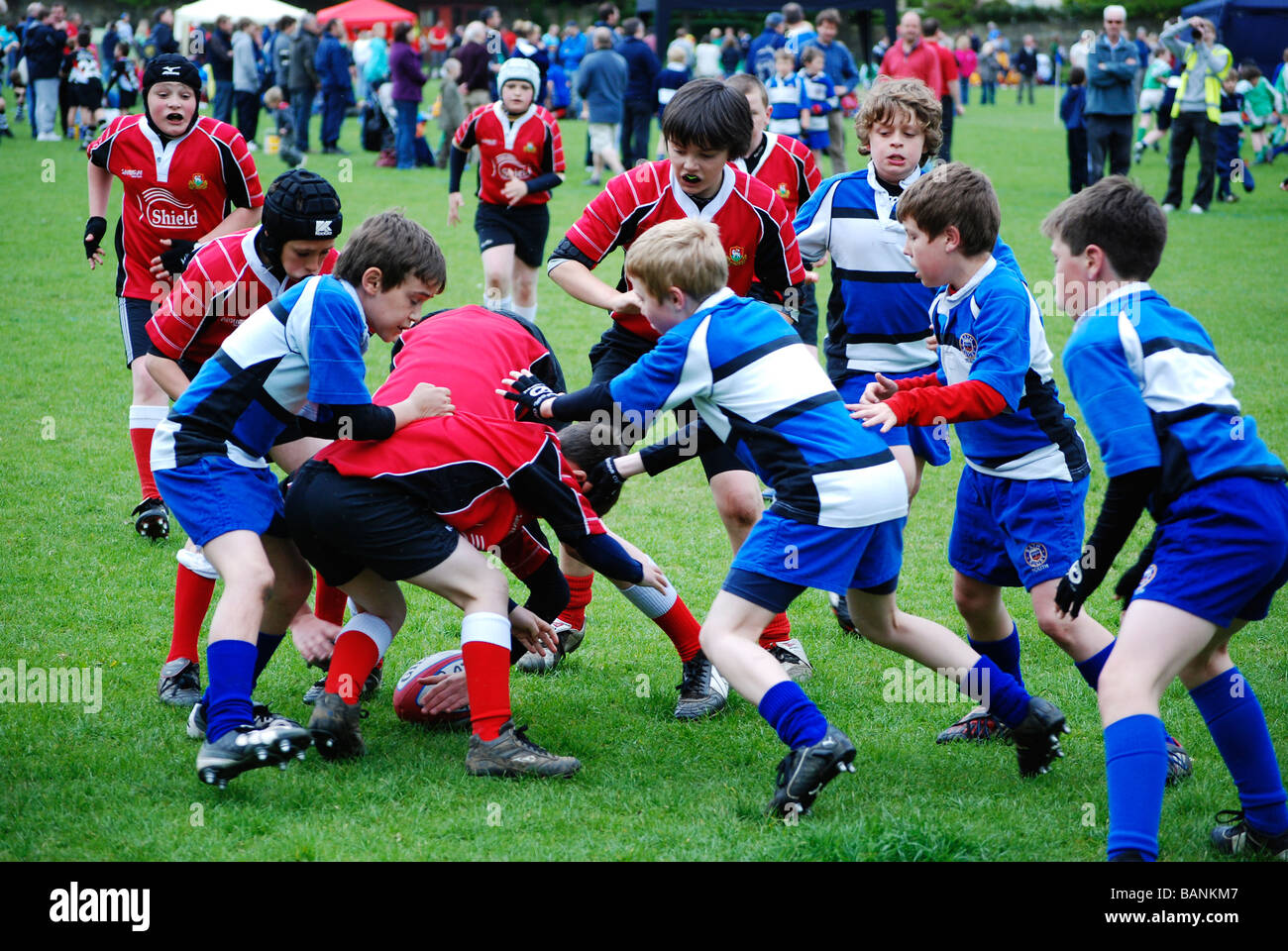 young boys playing rugby Stock Photo