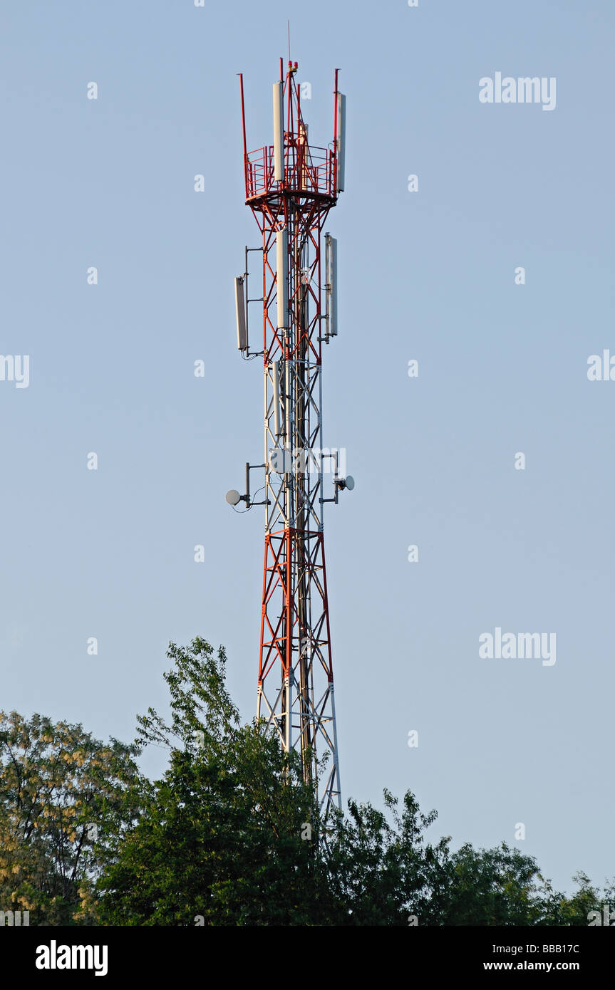 Communication Mast Above Trees Stock Photo